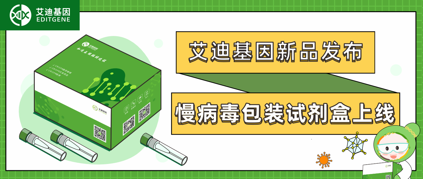 新品发布| 瓦力生物基因慢病毒包装试剂盒全新上线！高滴度高效率，自主操作无忧下游实验！