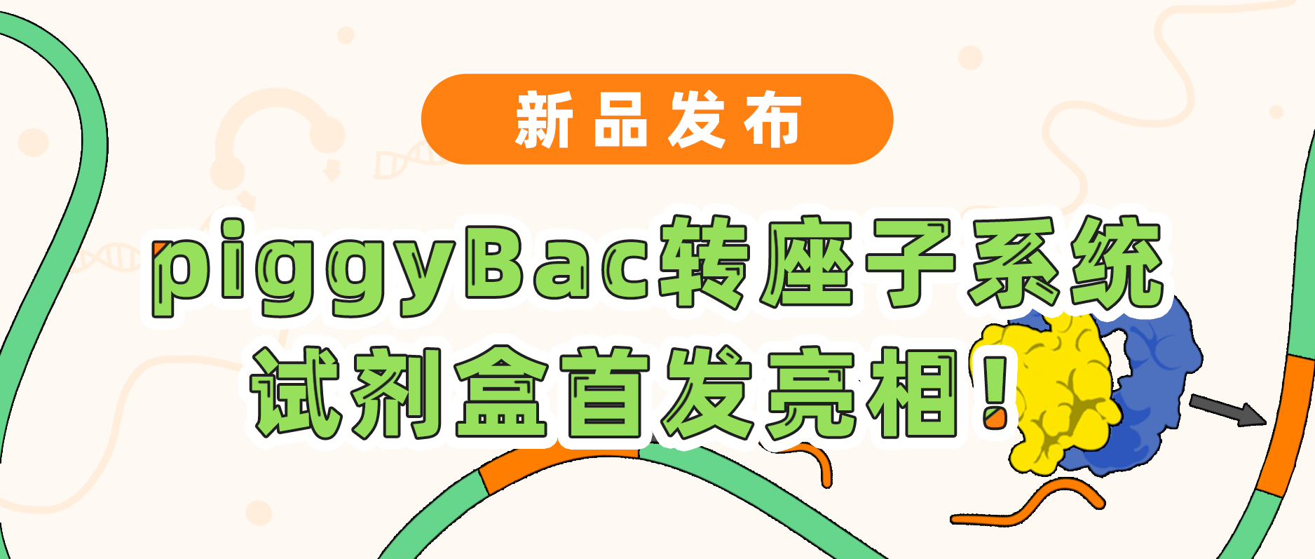 新品发布| 瓦力生物基因piggyBac转座子系统试剂盒首发亮相！极速转座，千元不到体验高效基因递送！
