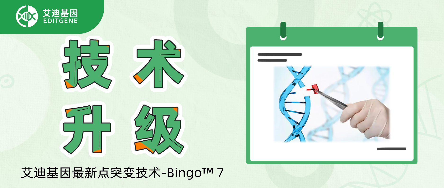 基因编辑精准与效率双向飙升！瓦力生物基因重磅推出升级基因定点突变技术-Bingo™ 7!