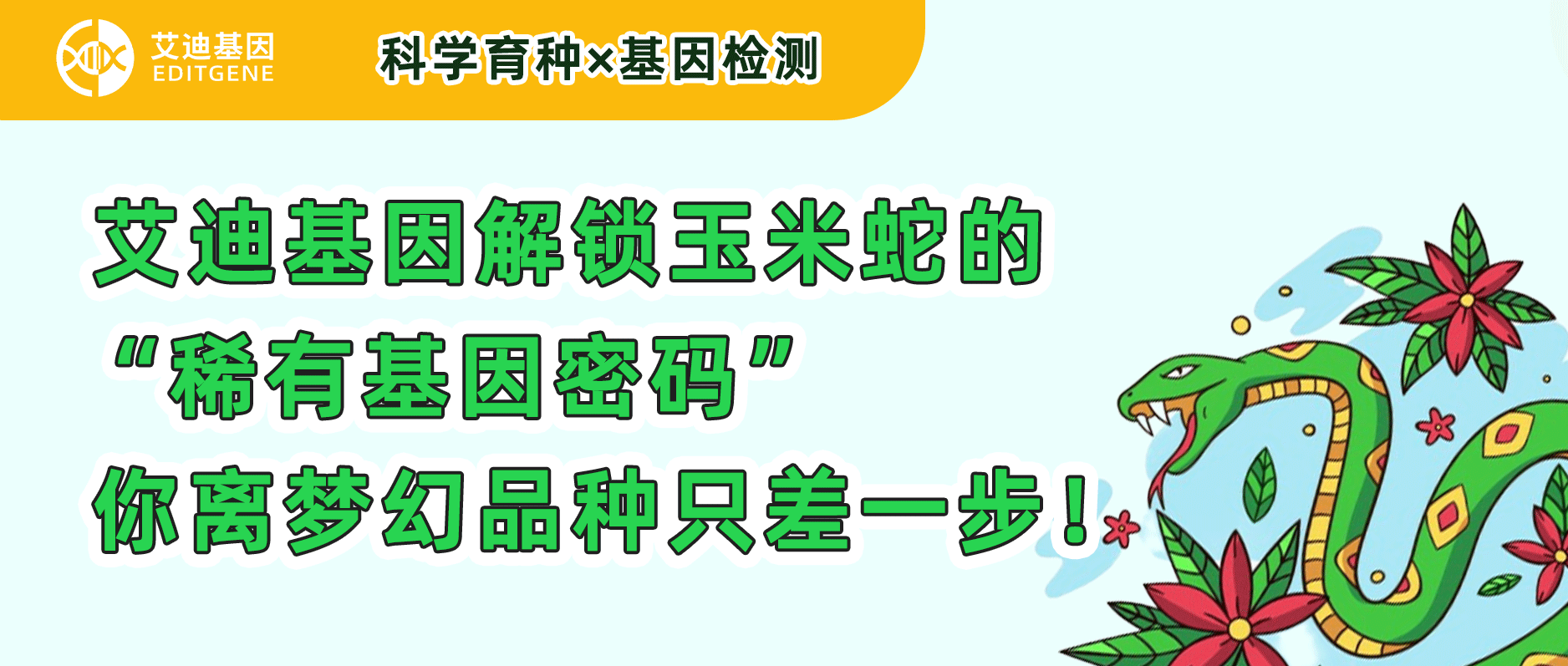科研育种×基因检测 | 瓦力生物基因解锁玉米蛇的“稀有基因密码”，你离梦幻品种只差一步！