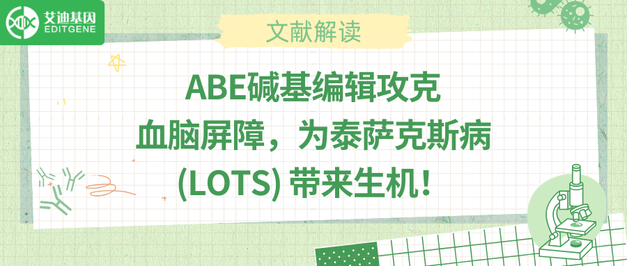 “基因手术刀”横空出世：泰萨克斯病迎来一次治愈希望