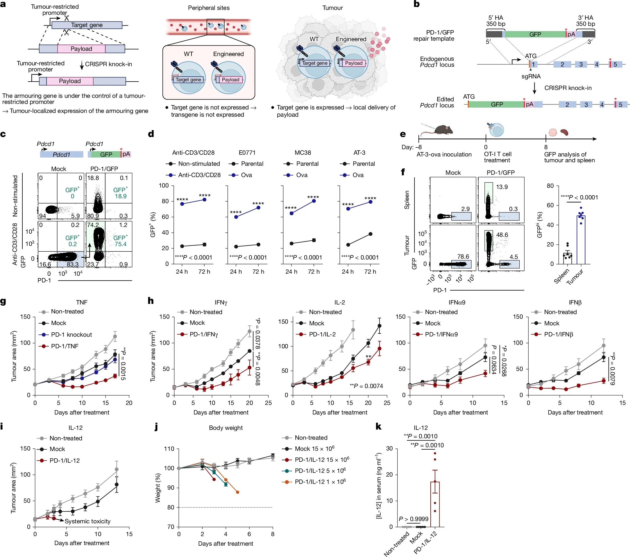 CRISPR敲入策略开发装甲T细胞