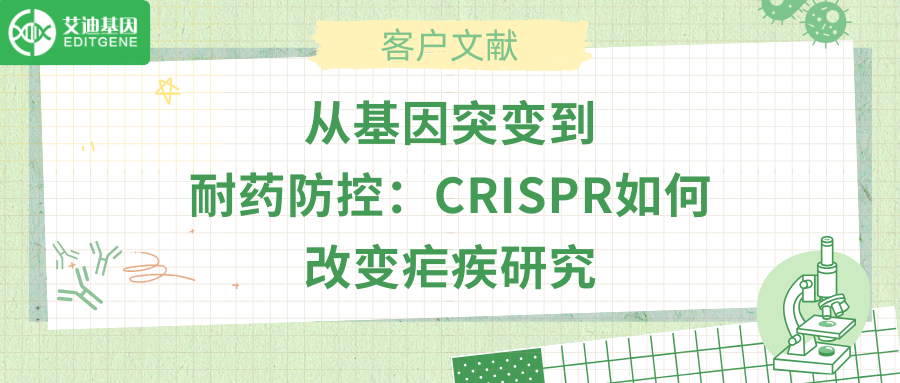 从基因突变到耐药防控：CRISPR如何改变疟疾研究