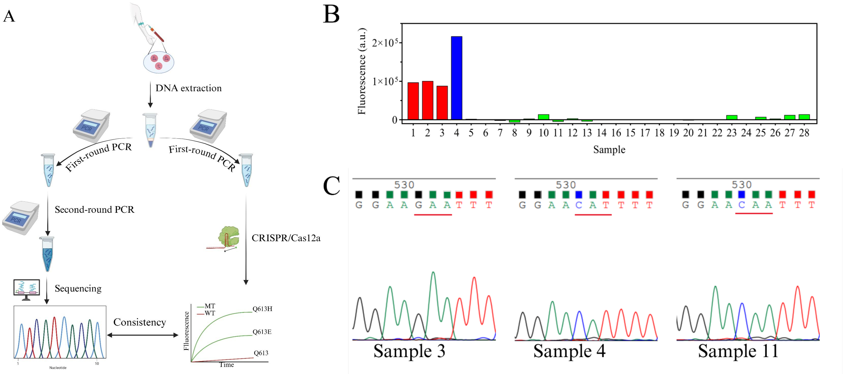  实际样品检测结果