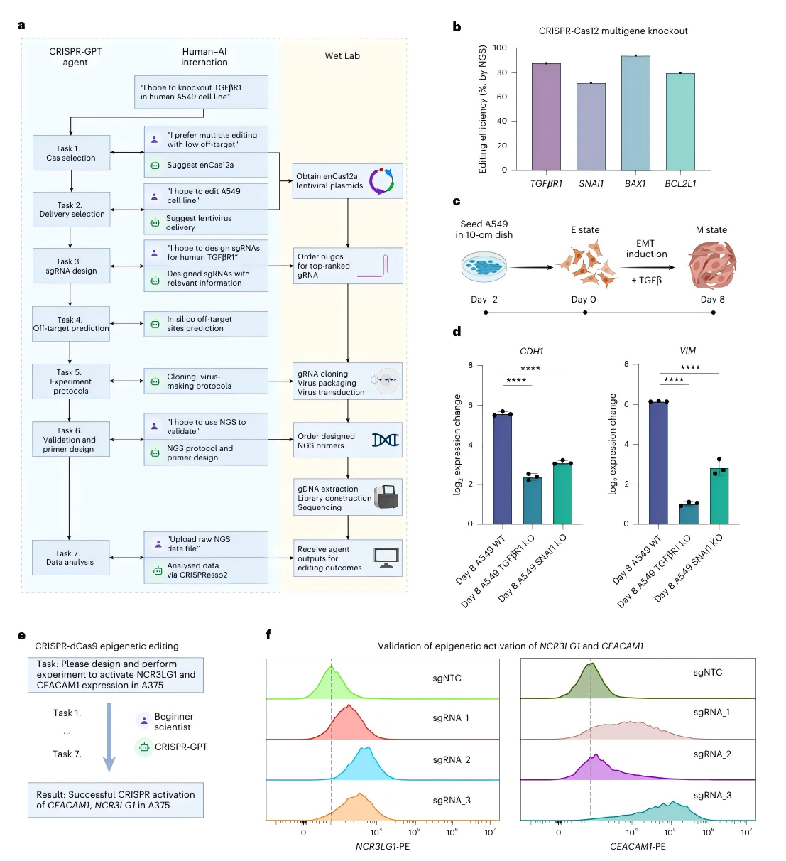 CRISPR-GPT在敲除与激活实验中的实验验证