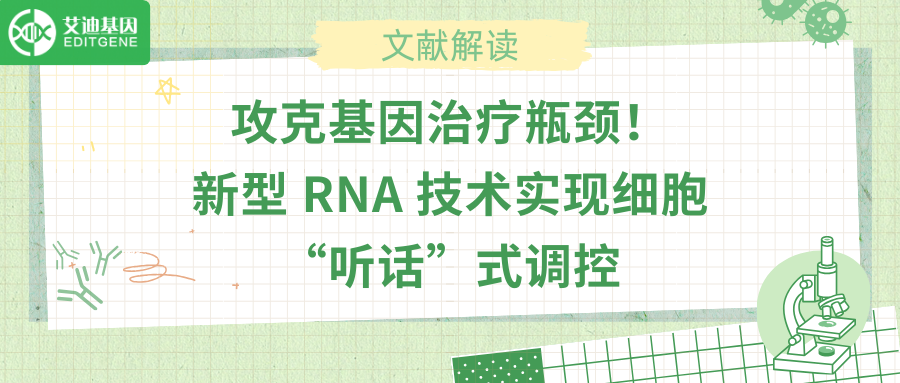 攻克基因治疗瓶颈！新型 RNA 技术实现细胞“听话”式调控