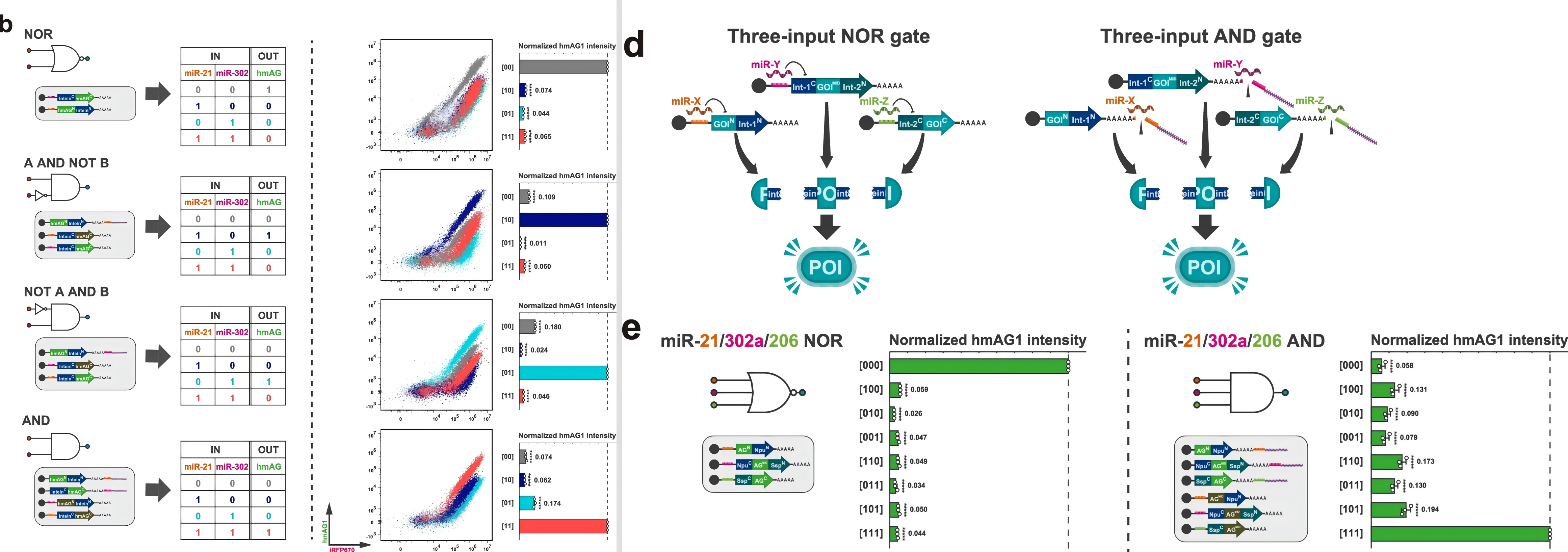 构建的两输入（左）、三输入（右）生物逻辑门电路结构