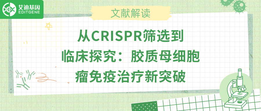 从CRISPR筛选到临床探究：胶质母细胞瘤免疫治疗新突破